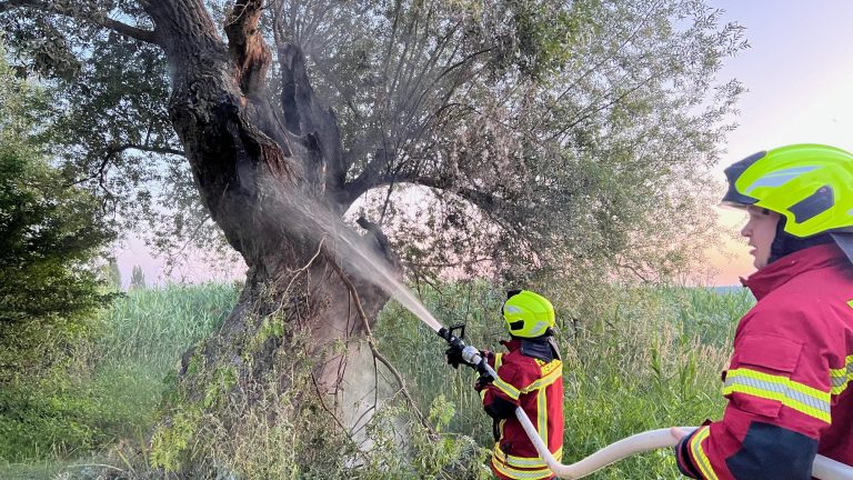 Rekordförderung für Feuerwehren in BW – Über 84 Millionen Euro für Fahrzeuge, Gerätehäuser und Ausbildung