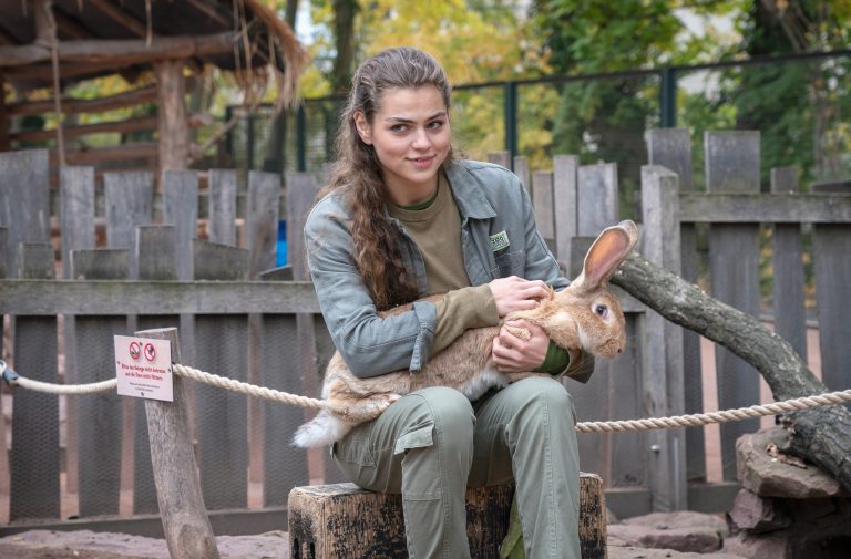 „Tierärztin Dr. Mertens“ am 24.06: Entführung, Trennung – und ein überraschendes Happy End!