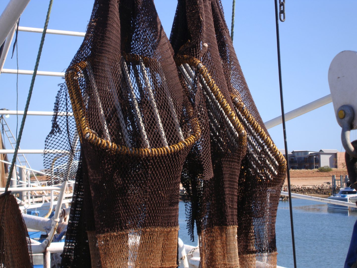 Wissenschaft schlägt Alarm: Artenvielfalt in den Meeren am Kipppunkt – doch es gibt Hoffnung Australia Northern Prawn Turtle Exclusion Devices. Credit MSC