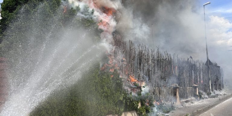 Kirchheim unter Teck: Grillnachmittag endet mit Flammen-Inferno – 50-Meter-Hecke zerstört, drei verletzt!