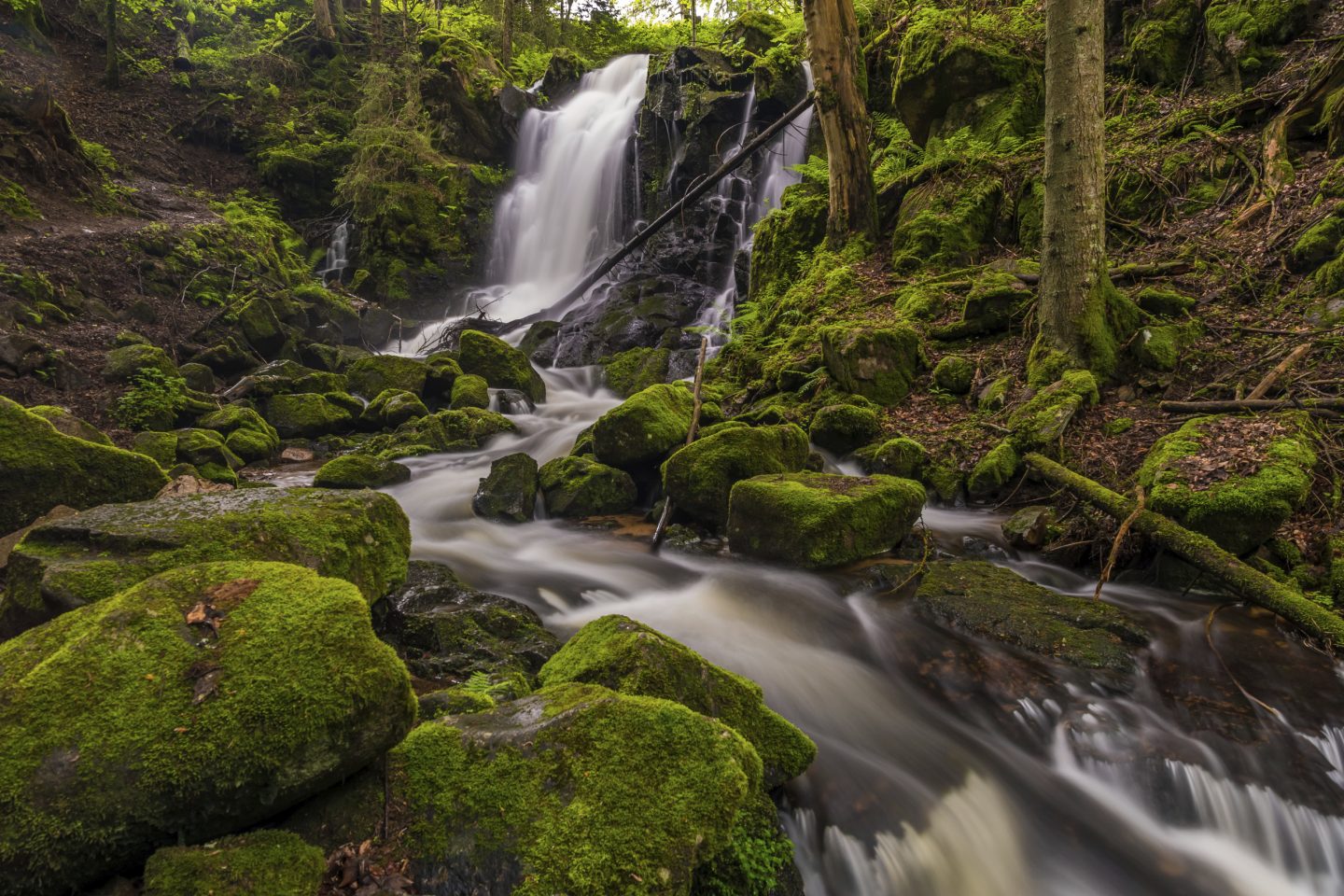 Wandern im Hochschwarzwald: 3 Erfrischende Touren an Wasserfällen und Seen – perfekt bei Hitze