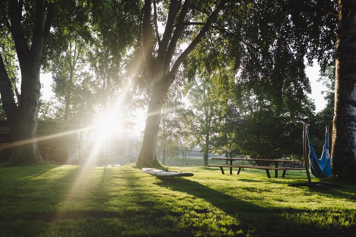SUP-Yoga bei Sonnenaufgang: Magische Morgenstunden auf dem Bodensee in Überlingen erleben Surfschule im Sonnenw Emily Piwowar