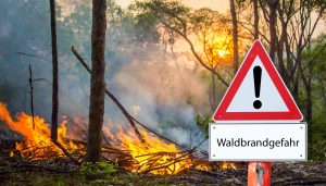 Waldbrandgefahr extrem hoch! Baden-Württemberg startet neues Warnsystem