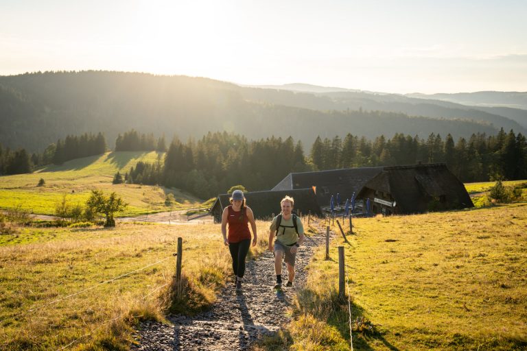 US-Hype um den Schwarzwald: 30 % mehr Gäste erwartet – auch die Kirschtorte lockt