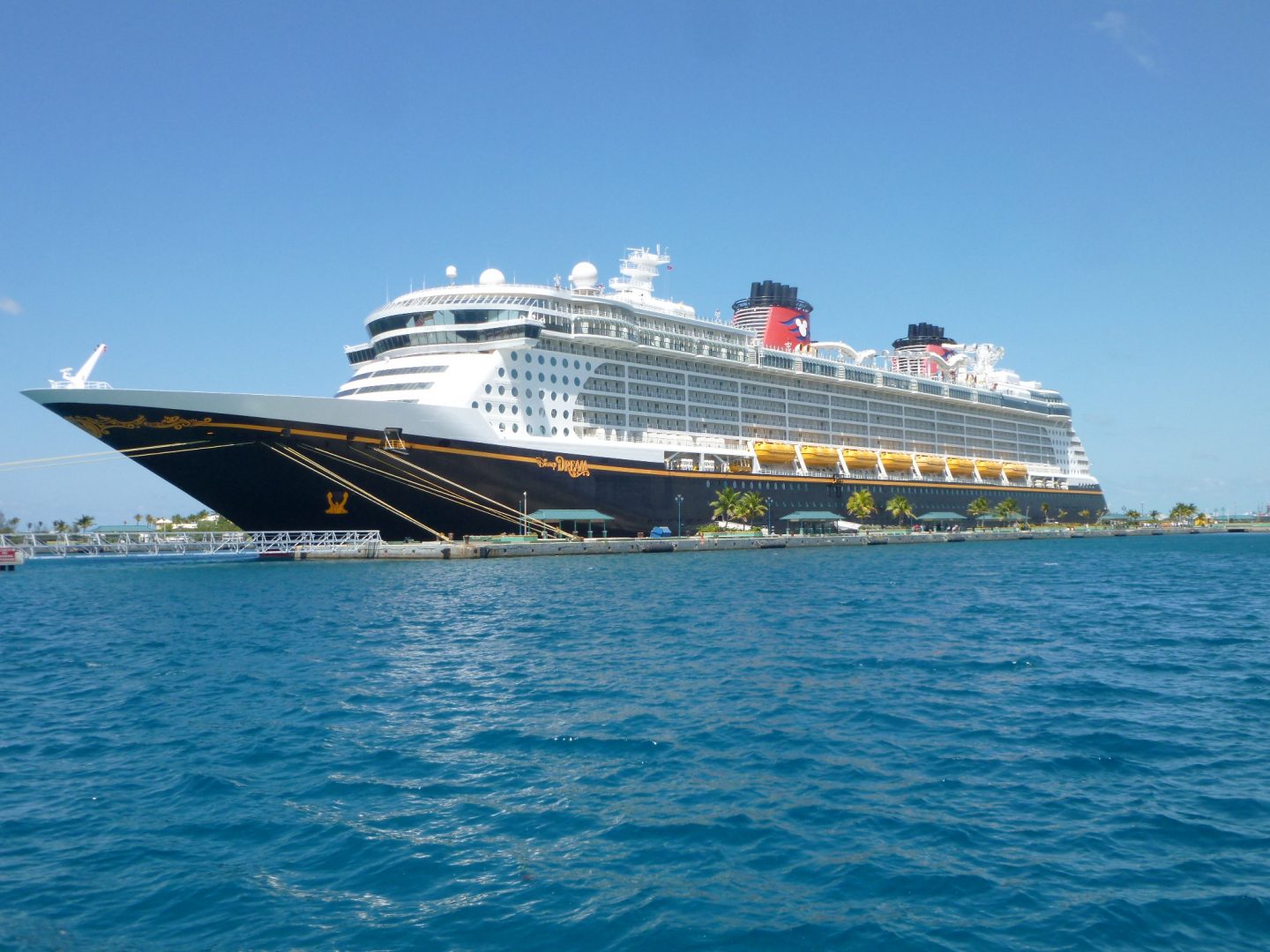 Drama auf Disney-Kreuzfahrt: Vater springt ins Meer, um Tochter (5) zu retten – Crew reagiert blitzschnell