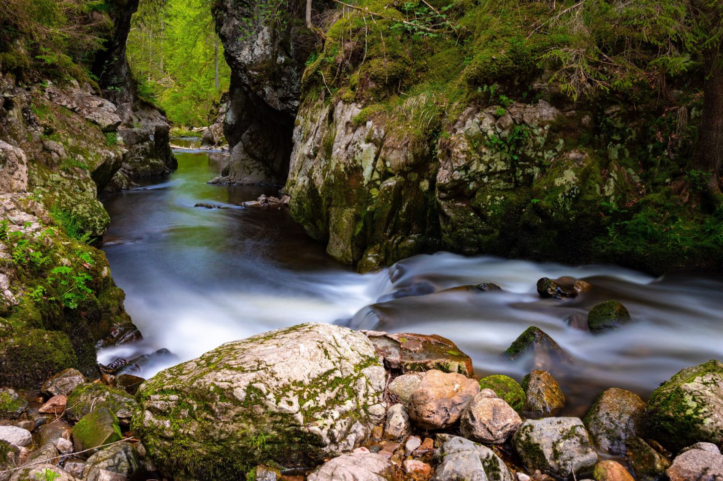 Wandertipp: Viadukt- und Schluchtentour im Schwarzwald – wild, steil und wunderschön!