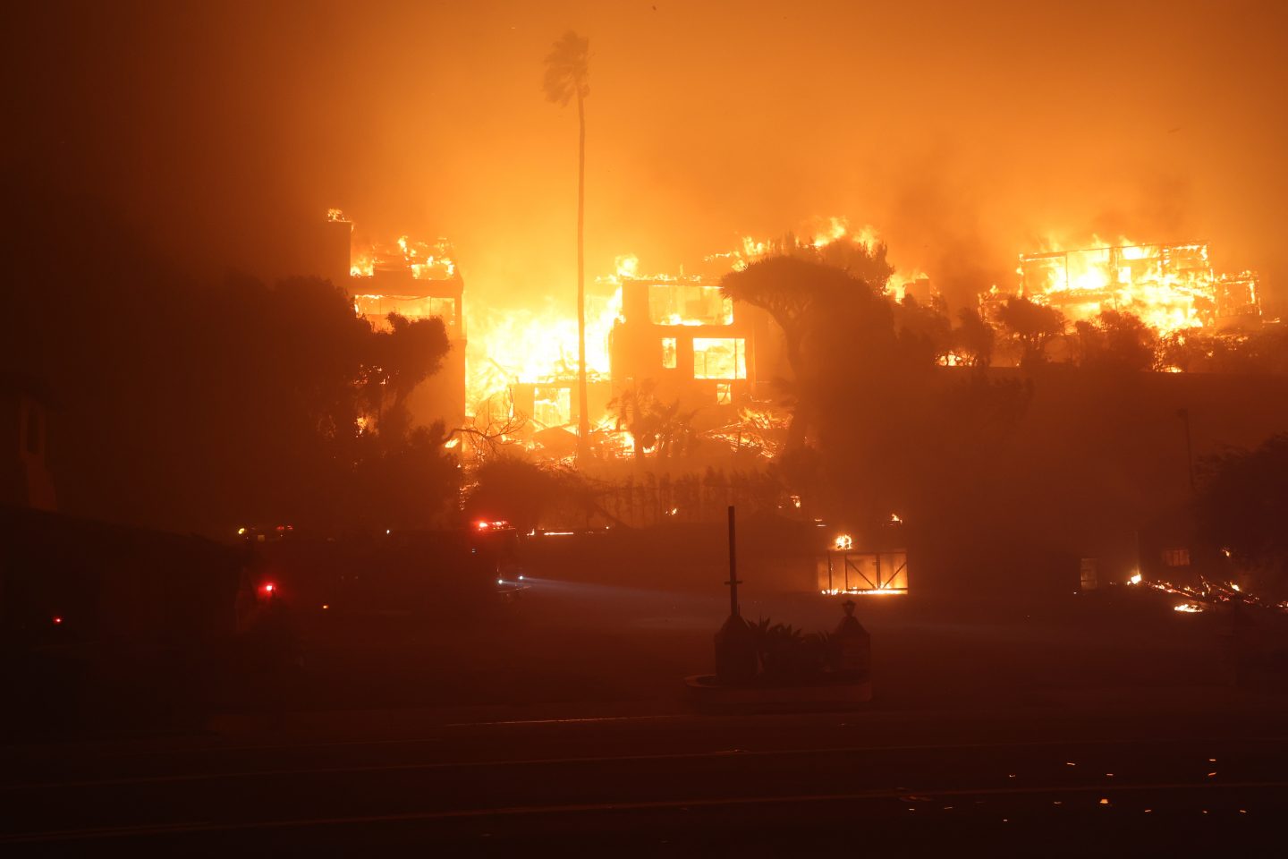 Urlaub in Gefahr? Das gilt bei Waldbrand, Unruhen und Krankheit im Urlaub