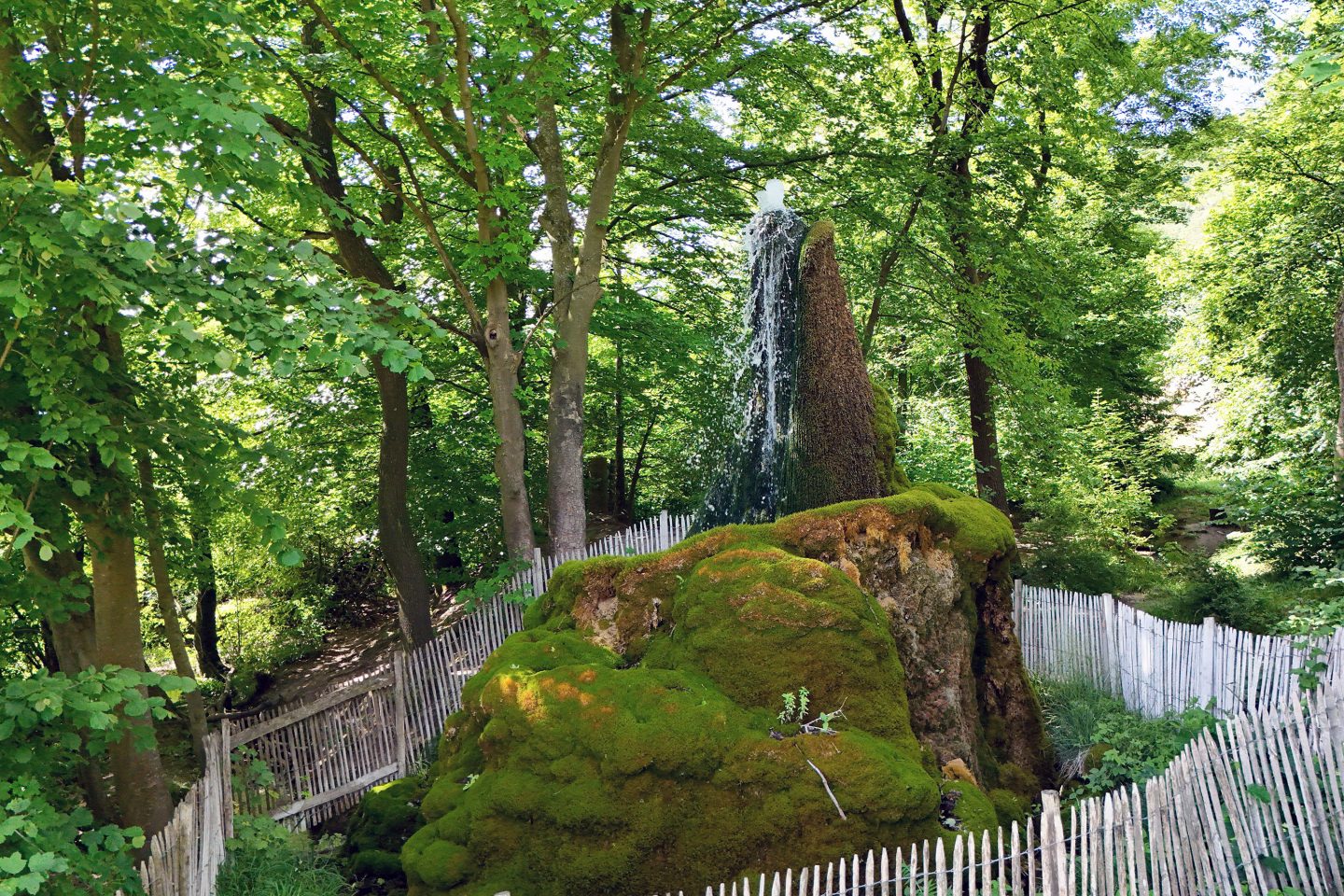Jetzt abstimmen: Blautopf aus Baden-Württemberg im Rennen um „Deutschlands Naturwunder 2025“ %C2%B0Wasserbaum Ockensen Flecken Salzhemmendorf