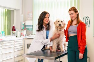 „Zwei Frauen für alle Felle – Neuanfang“: Heute der emotionale Start der neuen ARD-Reihe – Tierärztinnen zwischen Herz, Drama und einem großen Geheimnis