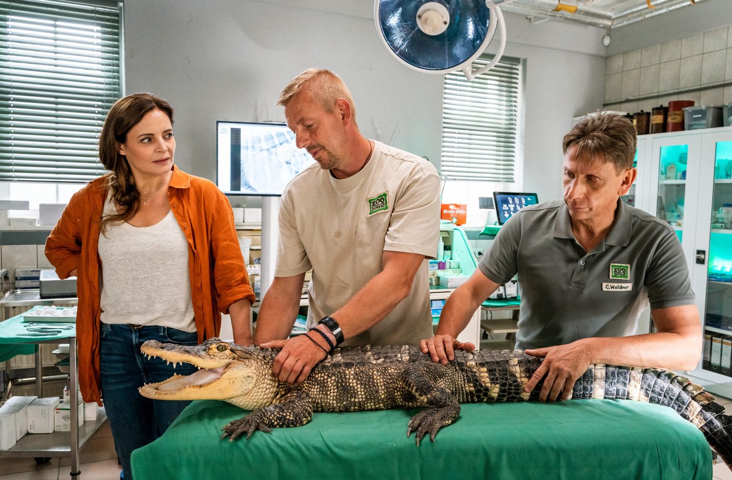 Heute bei „Tierärztin Dr. Mertens“: Streit, Zweifel und ein dramatischer Einsatz im Zoo 2 VIII F89 Tieraerztin Mertens