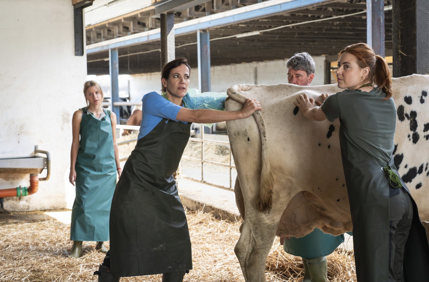 „Zwei Frauen für alle Felle – Neuanfang“: Heute der emotionale Start der neuen ARD-Reihe – Tierärztinnen zwischen Herz, Drama und einem großen Geheimnis 3 T2 Zwei Frauen fuer alle Felle