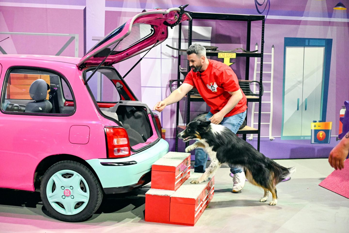 „Top Dog Germany“ heute: Titelverteidiger Fukano unter Druck – Nachwuchs sorgt für Wirbel