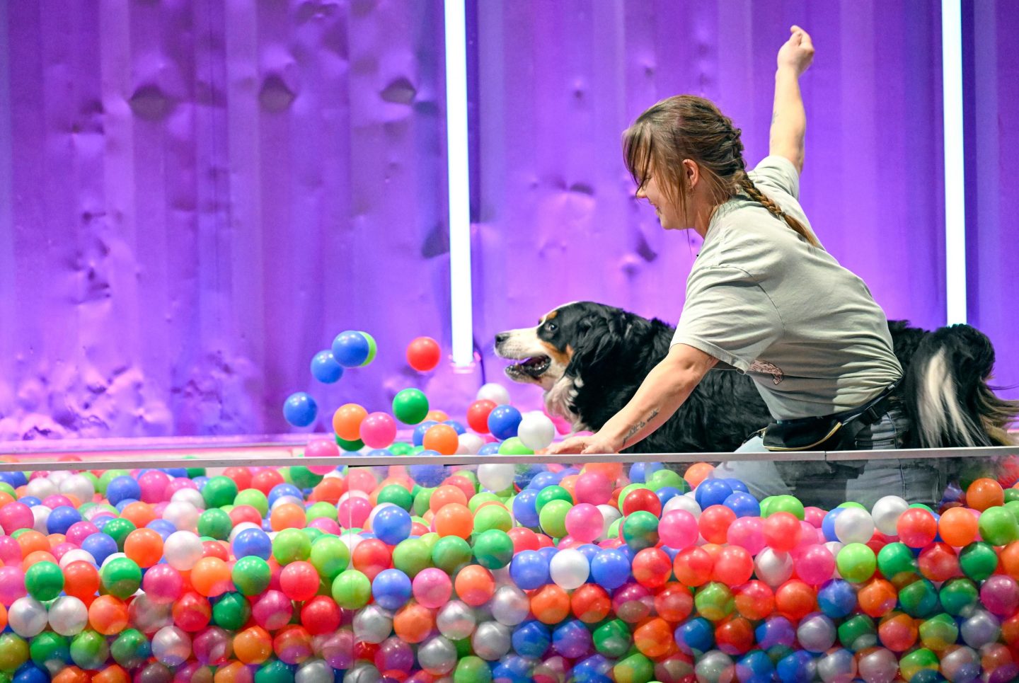 „Top Dog Germany“ heute: Titelverteidiger Fukano unter Druck – Nachwuchs sorgt für Wirbel A0800 1