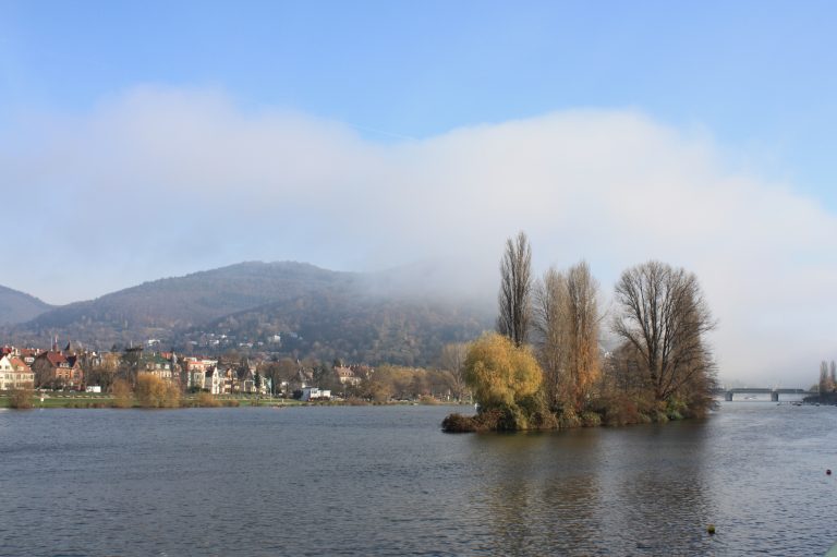 Unglaubliche Statistik: Im Sommer besteht der Neckar zur Hälfte aus Abwasser