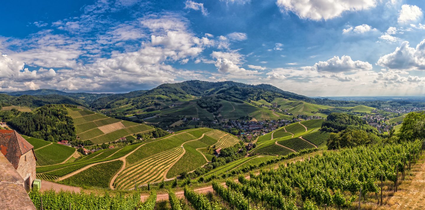 Wandertipp: Durbacher Weinpanorama – Traumhafte Ausblicke & Genuss im Schwarzwald