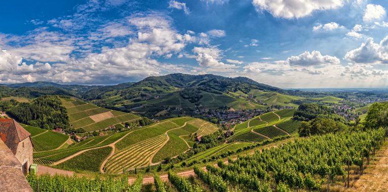 Wandertipp: Durbacher Weinpanorama – Traumhafte Ausblicke & Genuss im Schwarzwald