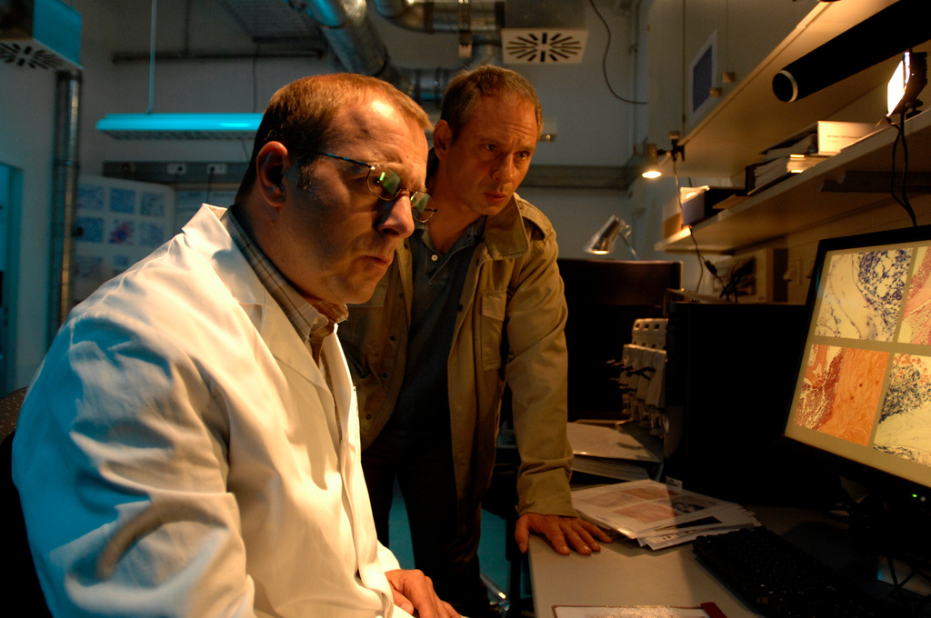 Rückruf für Eis: Summer Pops „Nicht für menschlichen Verzehr geeignet“ 1 Rückruf für Eis: Summer Pops „Nicht für menschlichen Verzehr geeignet“ image 22