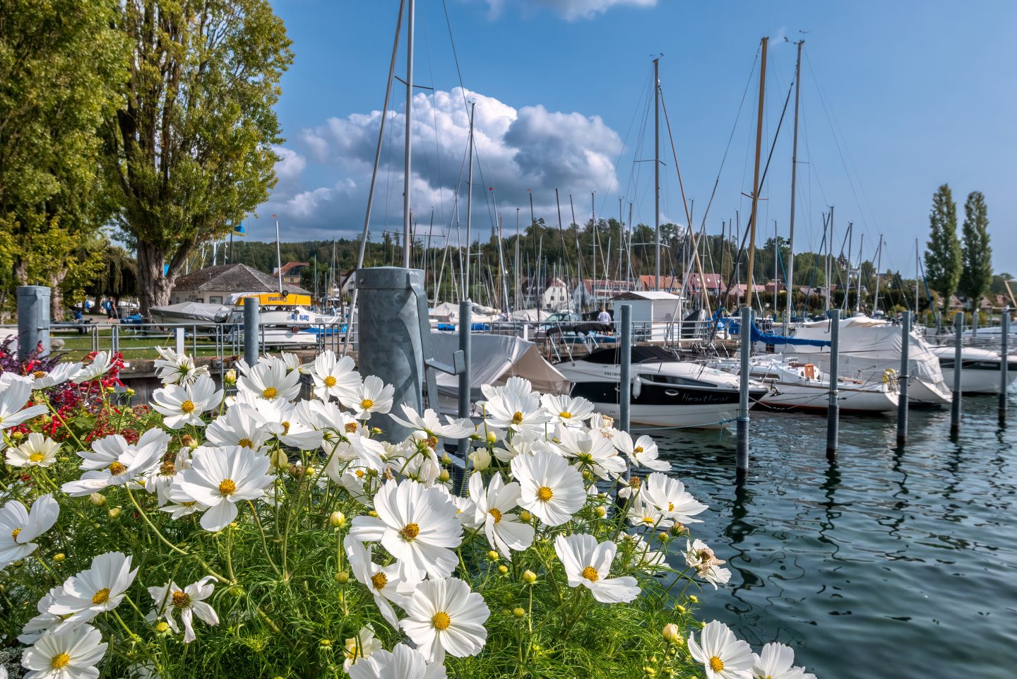 Wetter: Sommer-Comeback im Ländle – die 30-Grad-Marke wird diese Woche geknackt