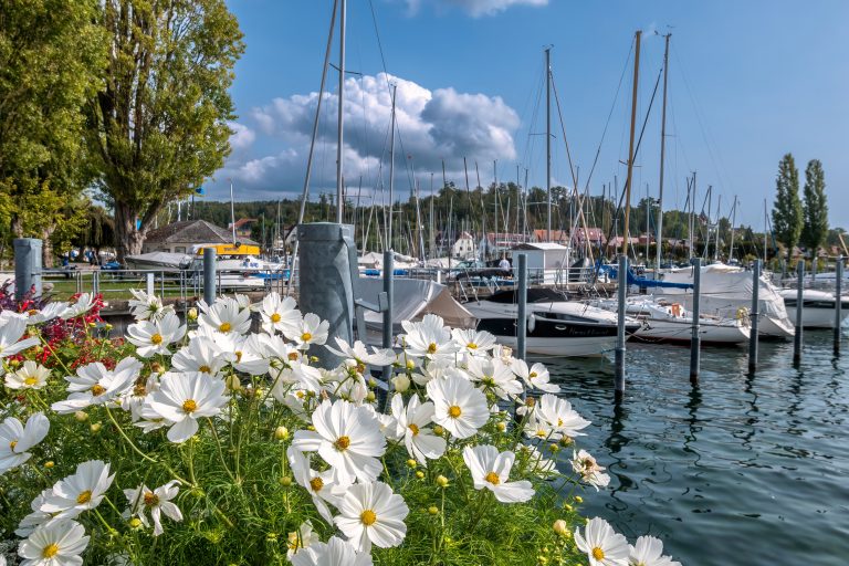 Wetter: Sommer-Comeback im Ländle – die 30-Grad-Marke wird diese Woche geknackt