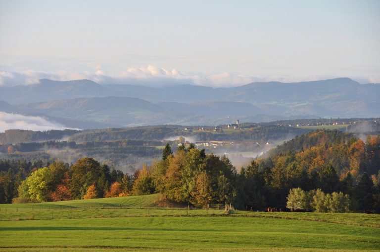 Wandertipp zur „Teufelsküche“ im Südschwarzwald: Diese wilde Schlucht müssen Sie erlebt haben