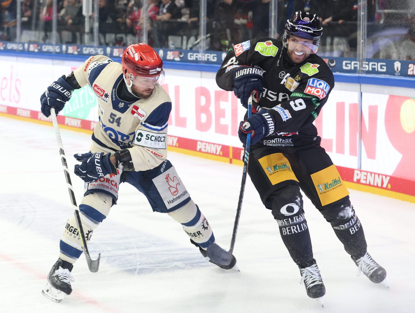 Das Eis ist heiß! Adler Mannheim und Schwenninger Wild Wings starten in die DEL-Saison