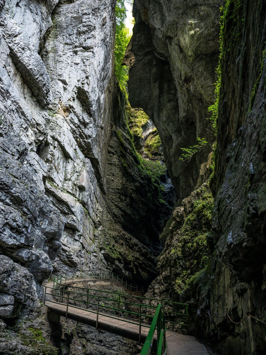 Kommt das Naturwunder 2025 aus Baden-Württemberg? 1 Kommt das Naturwunder 2025 aus Baden-Württemberg? Breitachklamm Indianerkopf im Inneren der Klamm Fotograf Dominik Berchtold