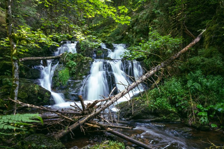 Tipp: Premiumwandern im Schwarzwald: Rötenbachschlucht bleibt Genießerpfad mit Auszeichnung – Spektakuläre Schluchtenwanderung im Hochschwarzwald