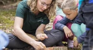Waldtage Baden-Württemberg 2025: Staatspreis Wald verliehen – unser Wald im Klimatest