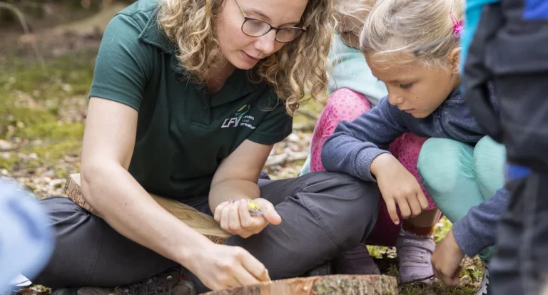 Waldtage Baden-Württemberg 2025: Staatspreis Wald verliehen – unser Wald im Klimatest