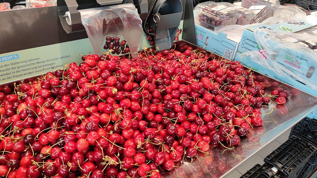 Kirschenernte 2025 in Deutschland fällt besser aus