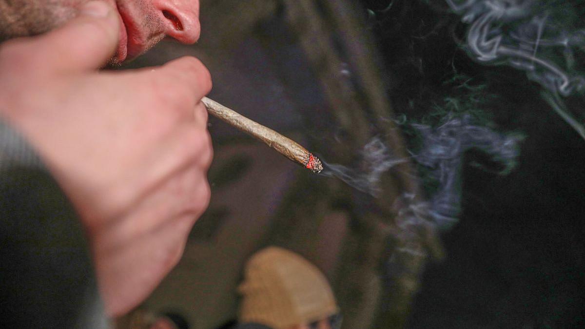 Cannabis-Konsum in Deutschland: Jugendliche weniger, junge Erwachsene mehr