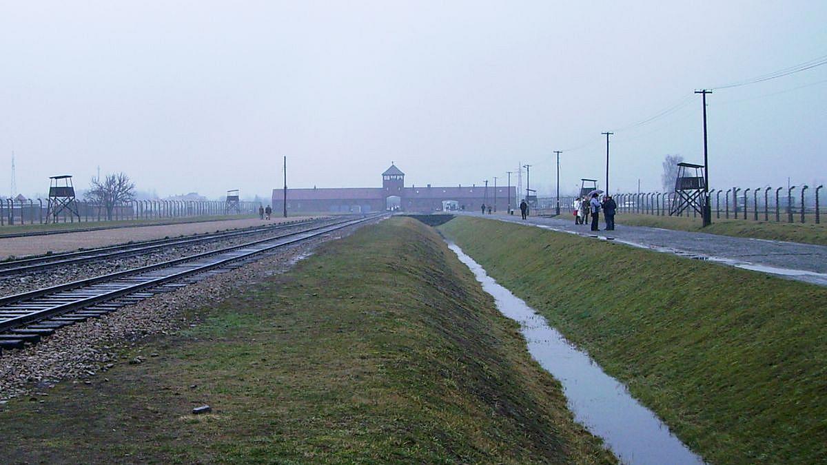 Experten fordern frühere Holocaust-Aufklärung an deutschen Schulen