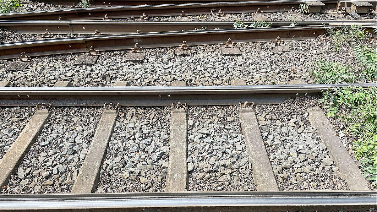 Allianz pro Schiene fordert Verzicht auf Rendite durch das Schienennetz