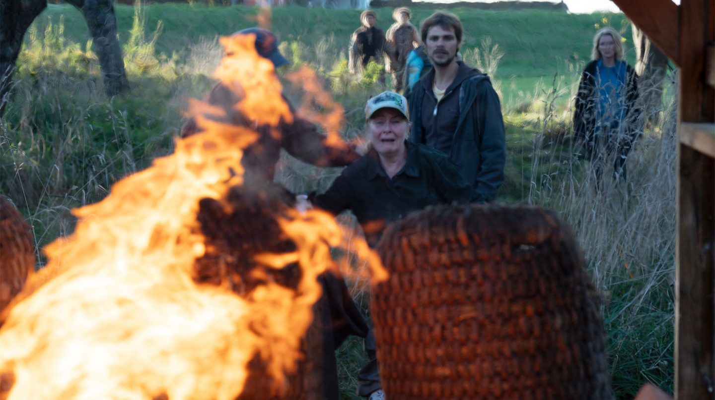 Tatort heute: „Letzte Ernte“ – Kopf ab auf dem Biohof! Lindholm allein zwischen Gift, Liebe und Mord – lohnt sich das Einschalten? 16 Tatort Letzte Ernte