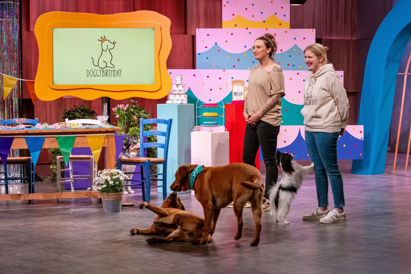 Doggybirthday bei „Die Höhle der Löwen“: Kuchen, Krönchen, Hundesekt – Die ungewöhnlichste Idee im Staffelfinale