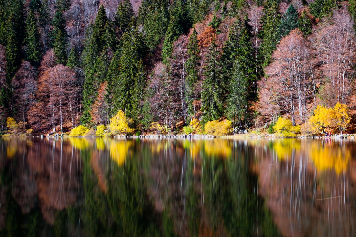 Einfach nur "WOW" – Am Feldsee zeigt sich die ganze Herbstpracht des Schwarzwalds Feldsee im Herbst 1