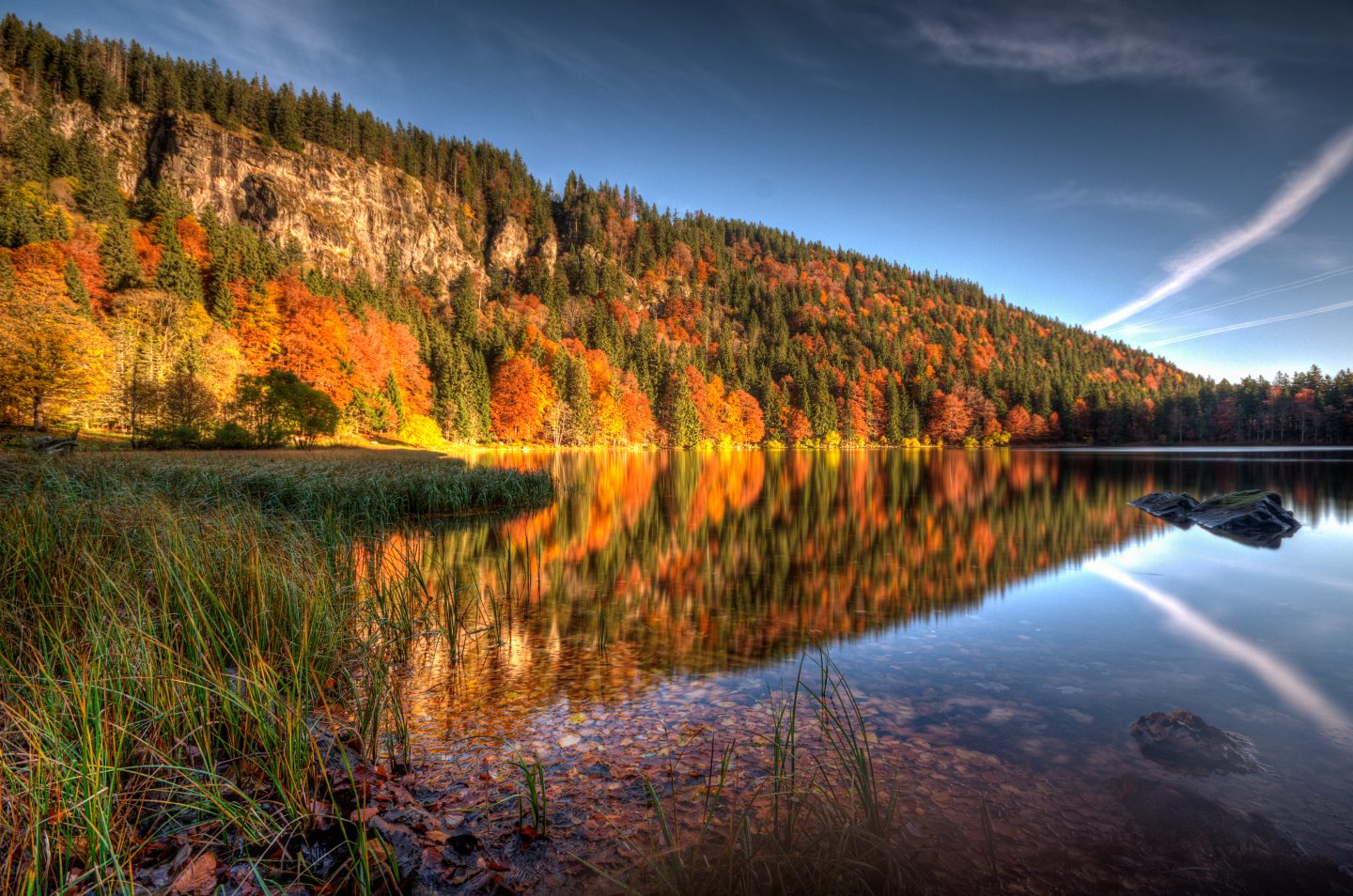 Einfach nur „WOW“ – Am Feldsee zeigt sich die ganze Herbstpracht des Schwarzwalds