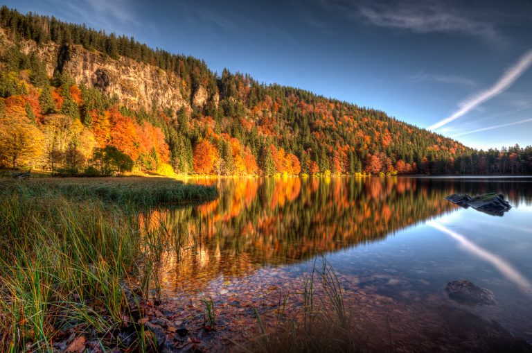 Einfach nur „WOW“ – Am Feldsee zeigt sich die ganze Herbstpracht des Schwarzwalds Einfach nur „WOW“ – Am Feldsee zeigt sich die ganze Herbstpracht des Schwarzwalds