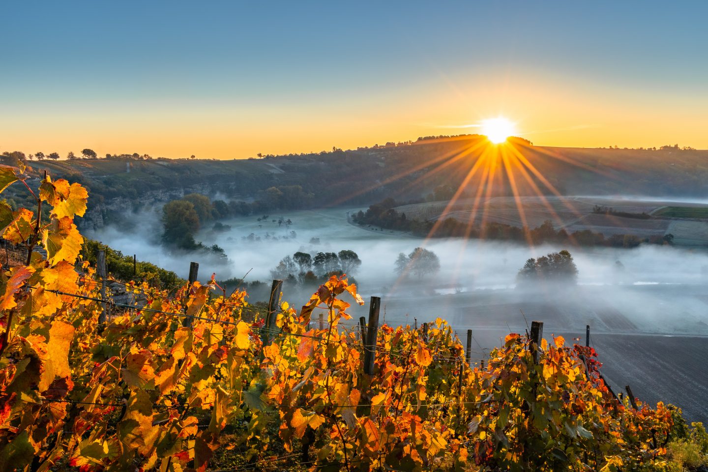Das Wetter in Baden-Württemberg: Herbstwochenende –Wo sich Sonne und Nebel abwechseln