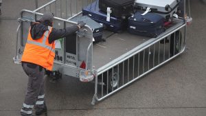 EuGH-Urteil in Luxemburg: Haustiere im Luftverkehr als Reisegepäck eingestuft