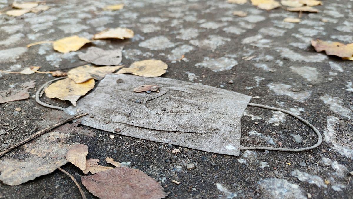 Grüne werfen Gesundheitsministerium Verschleierung vor Kosten der Masken-Affäre betreffend