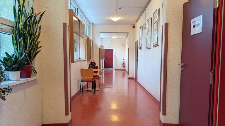 Lehrerverband kritisiert AfD-Antrag in Sachsen-Anhalt scharf