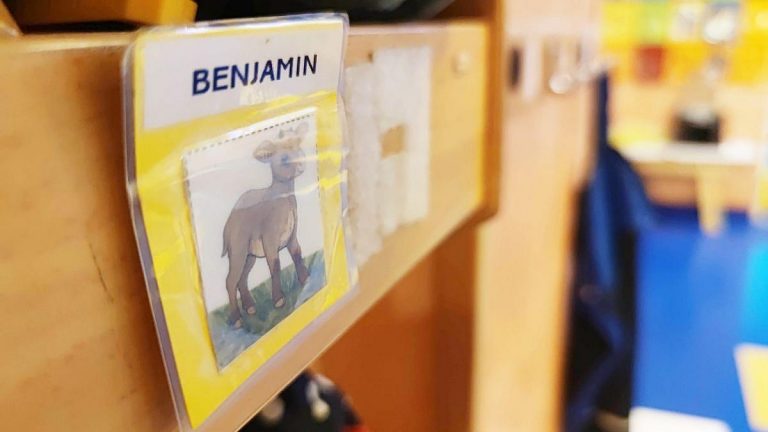 Kommunen in Deutschland: Soziale Ausgaben dominieren Budget