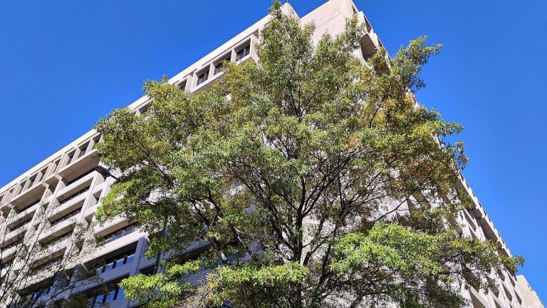 IWF sieht Parallelen zur Dotcom-Blase in der Wirtschaft