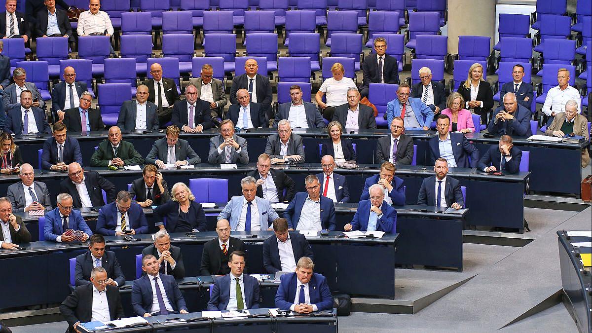 Berlin: Grüne wollen Fragerecht der AfD prüfen lassen