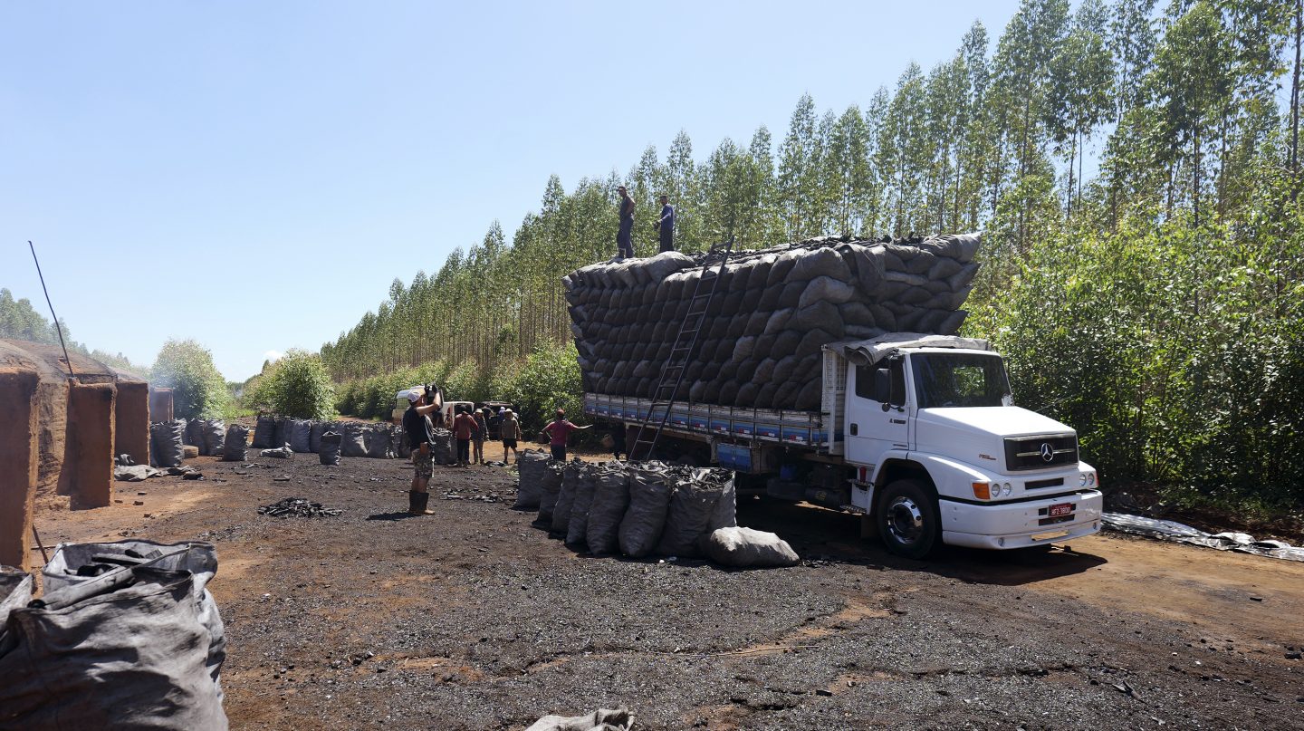 „Tatort“-Star Axel Milberg in „Verschollen“: ARD-Thriller deckt dunkle Klima-Verbrechen in Brasilien auf 15 Verschollen