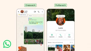 WhatsApp führt neue Info-Funktion ein – so sichtbar war dein Status noch nie WhatsApp führt neue Info-Funktion ein – so sichtbar war dein Status noch nie