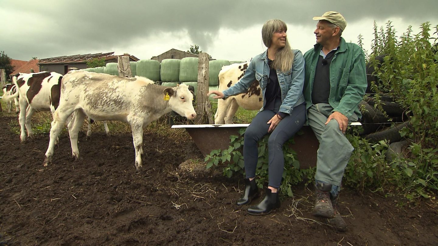 „Bauer sucht Frau“: Romantische Wiedersehen und ein überraschendes Heiratsverbot – so geht es nächste Woche weiter! 4 „Bauer sucht Frau“: Romantische Wiedersehen und ein überraschendes Heiratsverbot – so geht es nächste Woche weiter! 88B0C 2