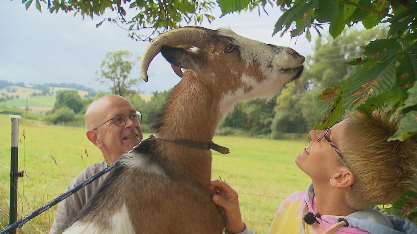 Drama pur bei „Bauer sucht Frau“: Während Christoph flüchtet, ist Thomas frisch verliebt A0E1F 1