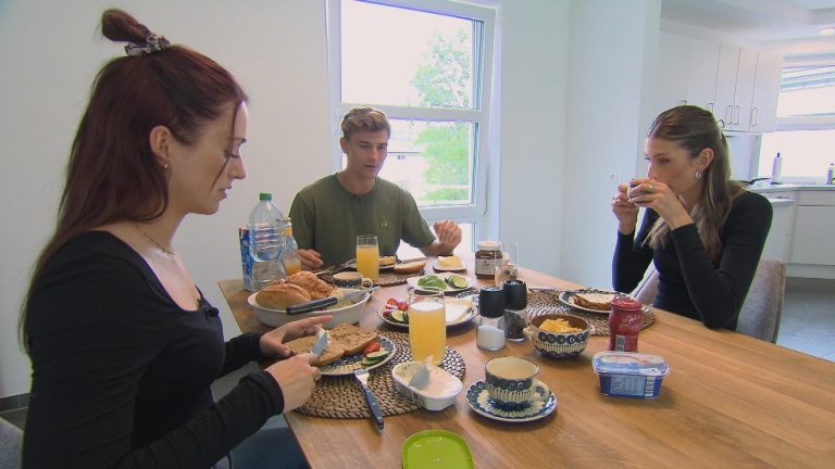 Was hinter dem Hype um Friedrich wirklich steckt: Warum der „Bauer sucht Frau“-Star so polarisiert